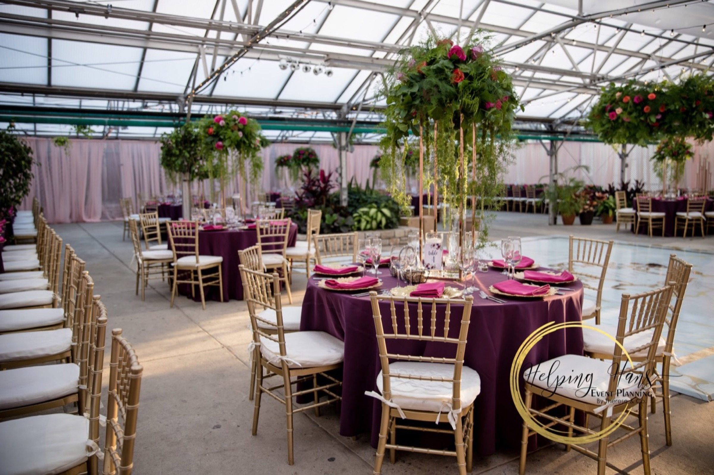 A greenhouse reception with round tables in plum linen, gold chiavari chairs and tall centrepieces of trailing greenery.